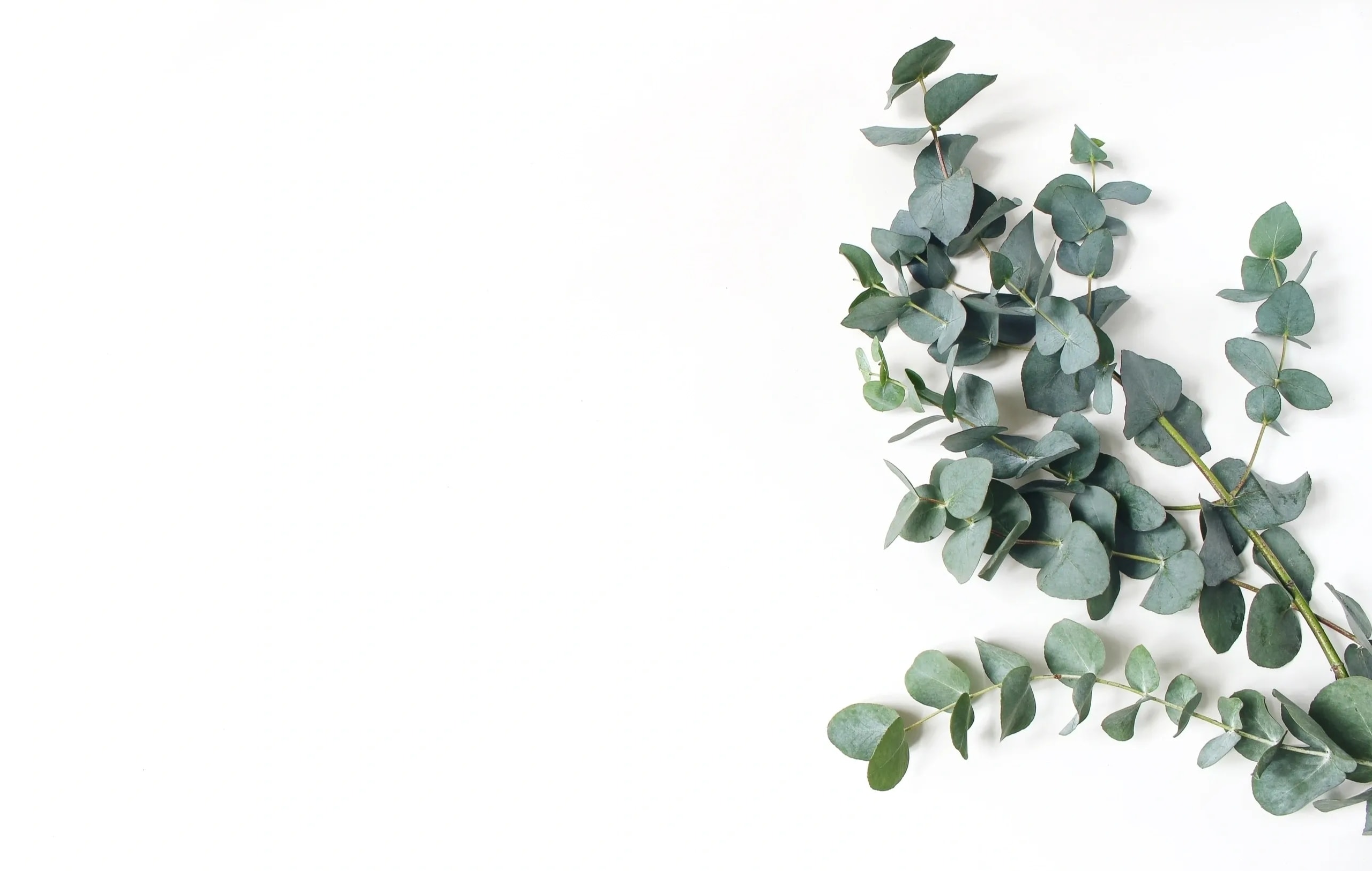 Fresh Eucalyptus Spa Bundle
